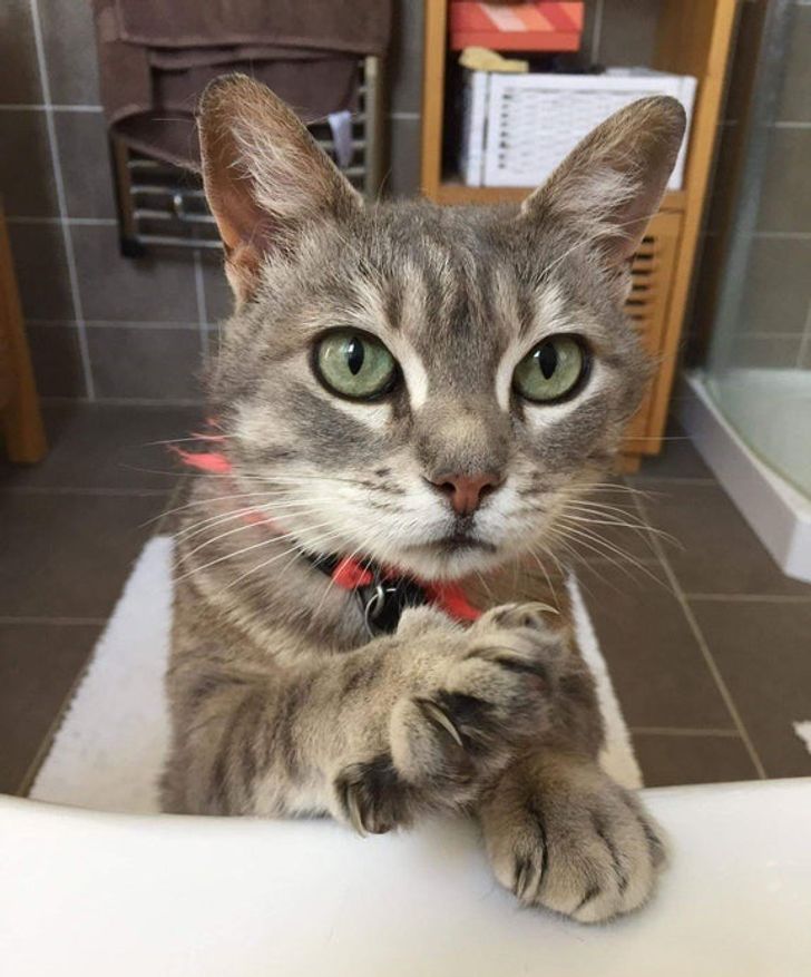 eefae7540cb2862e2a1ccc177a