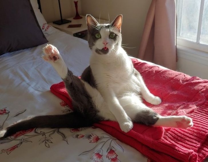 eefc8558d68fab53bc9c823a12