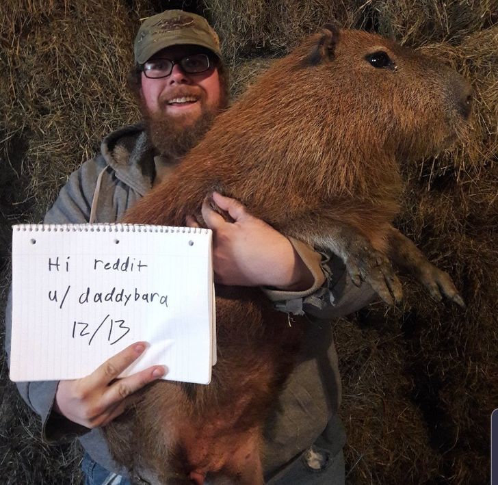 eeff2c5bbfaca820c04101f5c6