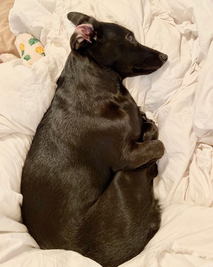 ef04755822816ffe8d353973b3