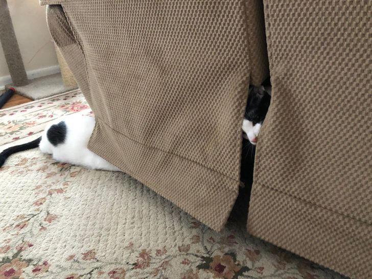 ef10d5521095ae8aa60eefaf16