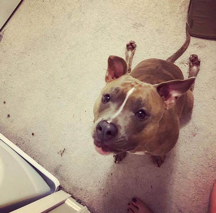 ef119c5da1ab0fc9ce74c75919