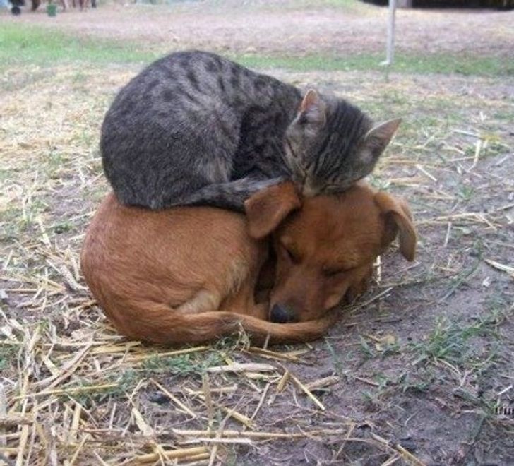 ef1b6b5035bf3e8b87e47ac6fb