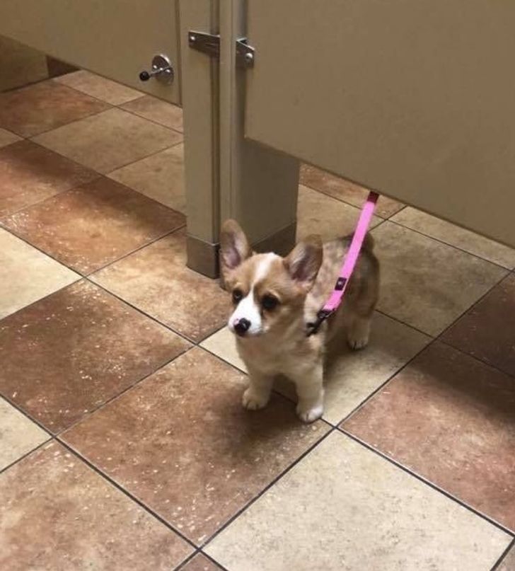 ef263f5739a81fad1e1810199f