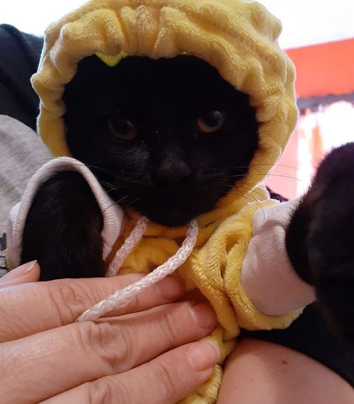 ef28f6522e95fd363269048a70