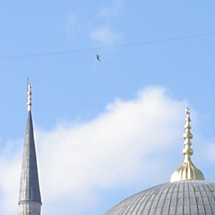 ef2d765bac90c1ba78d641d210