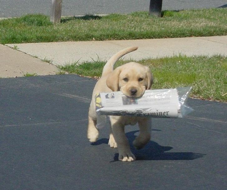 ef3113516cabe699ea68662c75