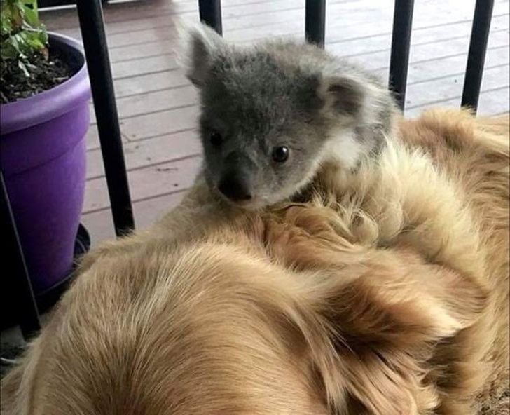 ef33075e9d984fe006c0c69e92