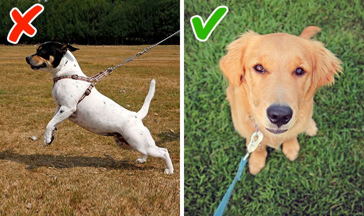 ef37325c6e94998874427a28a7