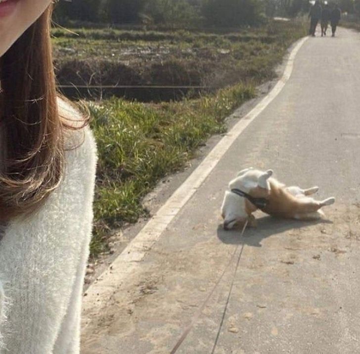 ef3e935c27ad10eace507c49b6