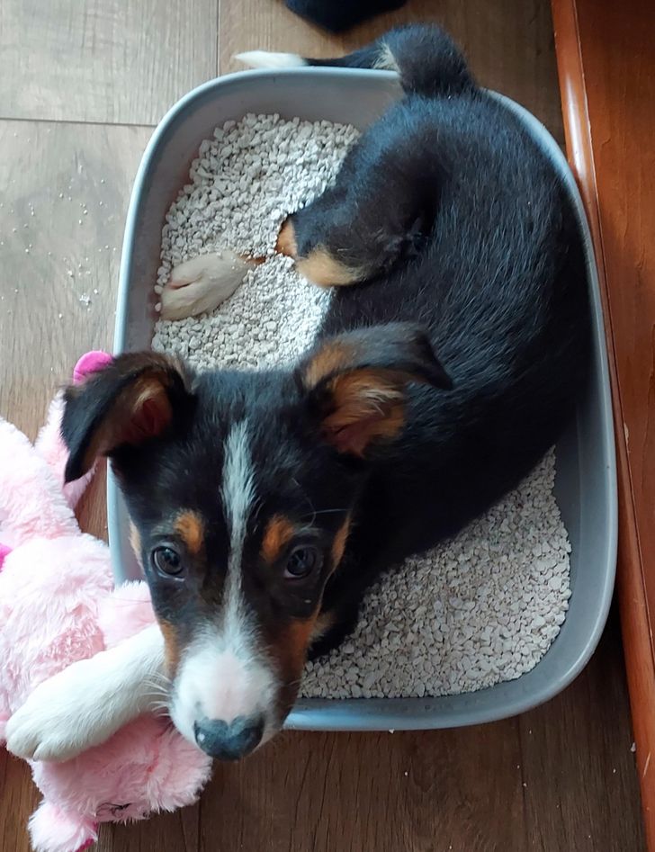 ef3f535a1797dac34570164913 ef3f535a1797dac34570164913