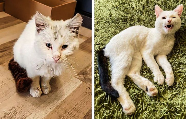 ef43885f4a9d84a29088d10232