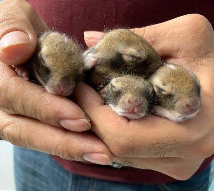 ef469c584aae8c01bdf086ad74