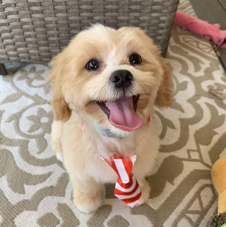 ef4d4e55608f7a719b446c504f