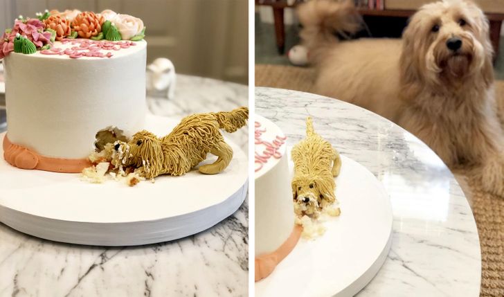 ef55d25a35b4f7e412ec6e4908