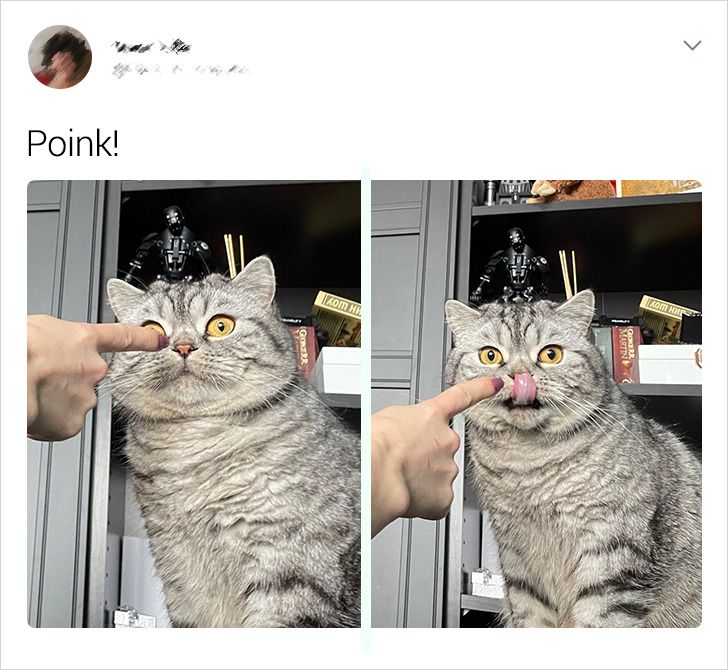 ef587e5a4bbff41be3aeee2082