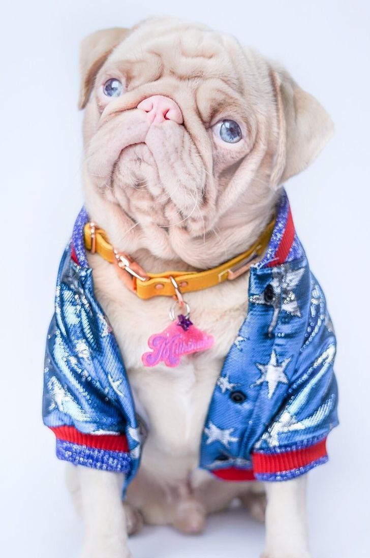 ef58885b9296f313a02266a625