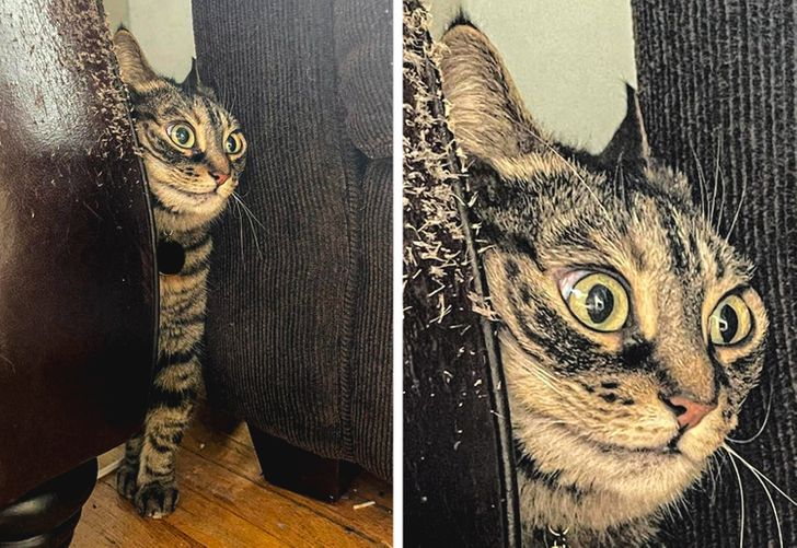 ef5e3c59a49b391850bd5983d0