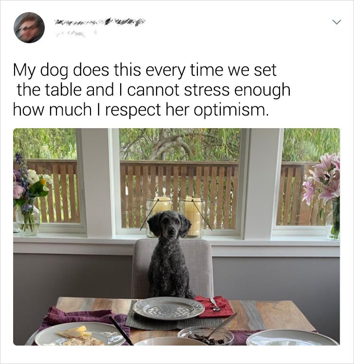 ef5ed5548884d6cfb976948e44