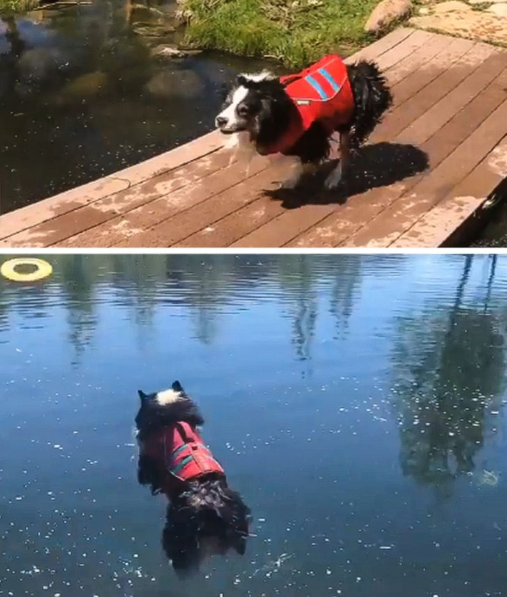 ef678452ea9fa4be4dd8adcebd