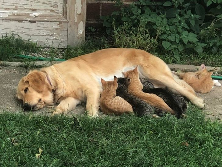 ef68c4576faa1ce023b9491fc2