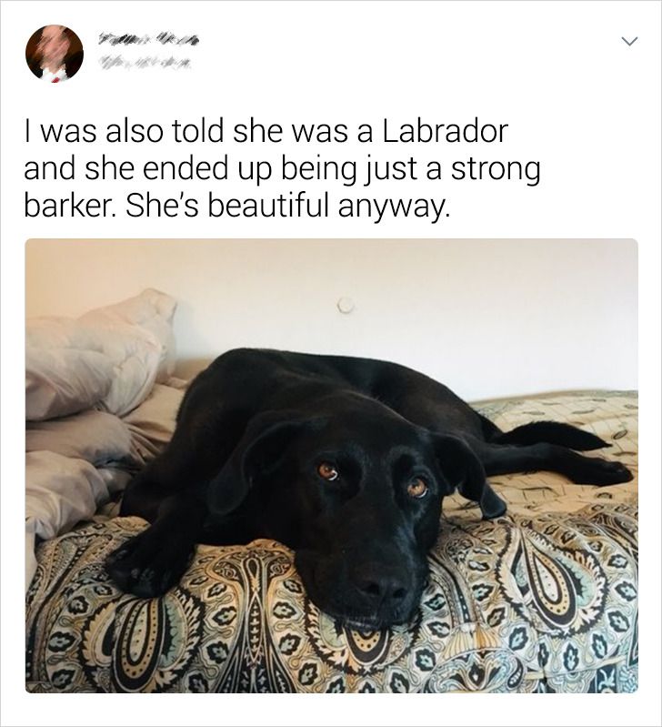 ef6d7a569292f502d24568cc0e