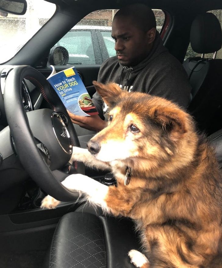 ef713758c2aa4a1e5901cd56cd