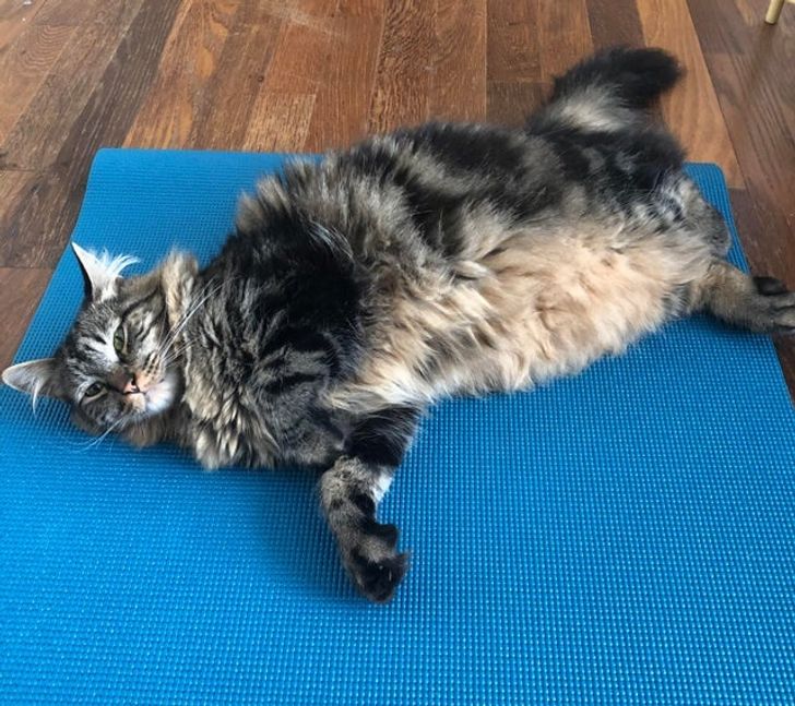 ef72ae5433b1da7247cbde5b47