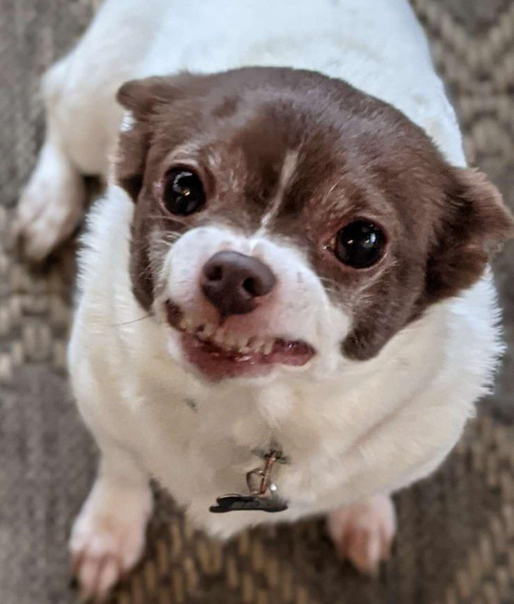 ef72cb5375b62b47c179096ba0 ef72cb5375b62b47c179096ba0