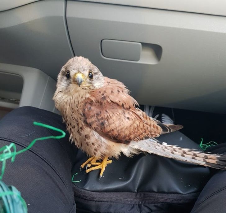 ef859c5c29ac6fc10a653a32bb