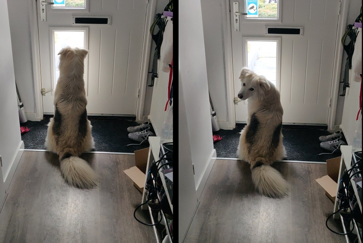 ef85bf52cab597db4a410c1013