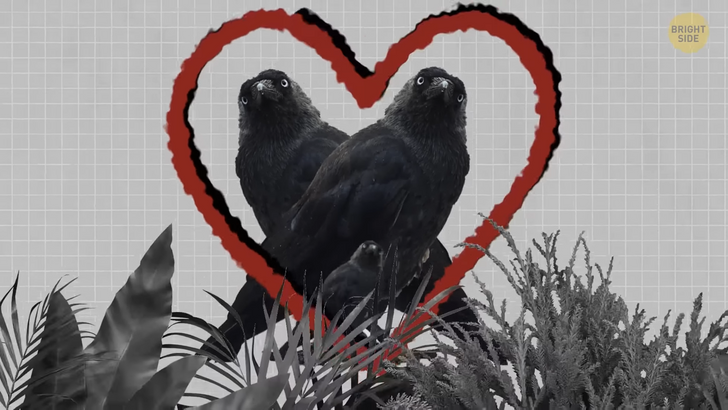 ef8b38574887c4cb0e1a9a21d4