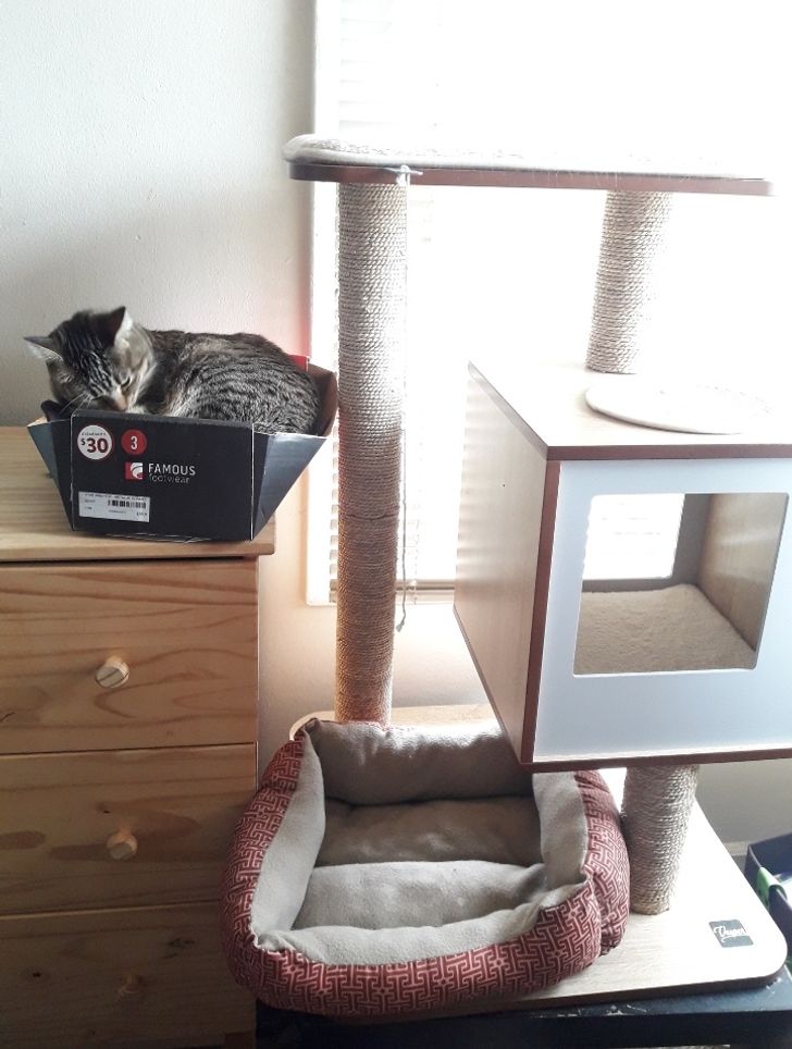 ef8f2357659db8f6a344ac08dd