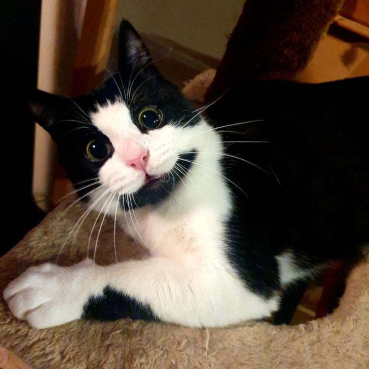 ef93a855ca84ef6db0a329edf2