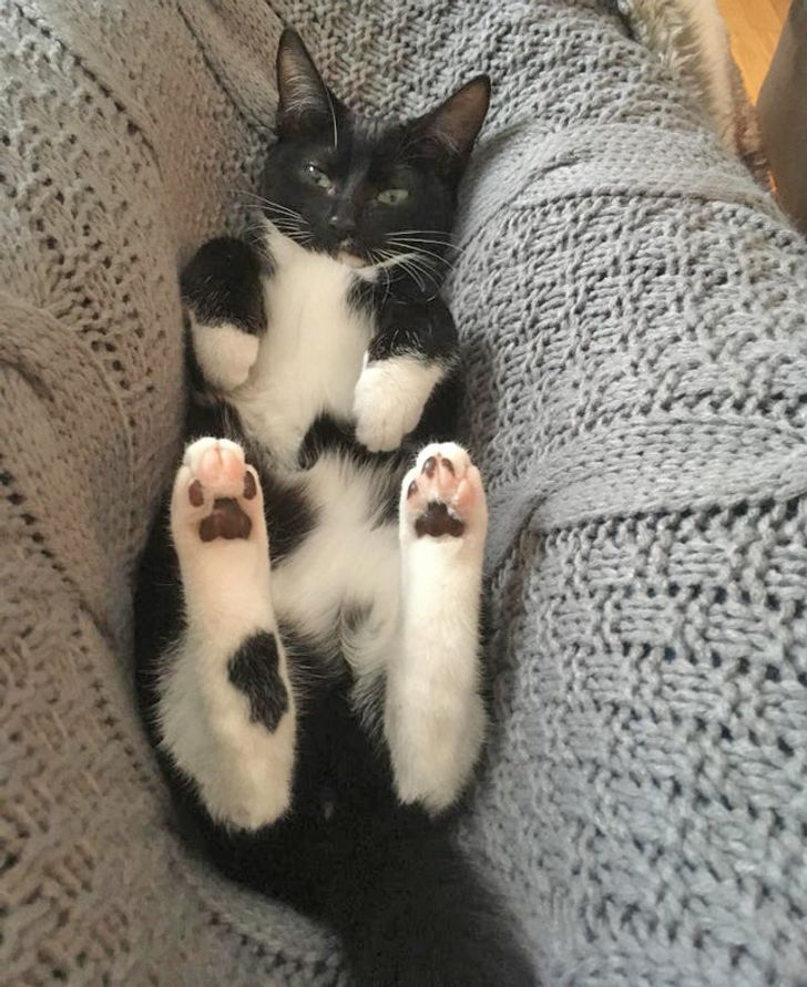 ef97a55eb9a322ca7030daf266