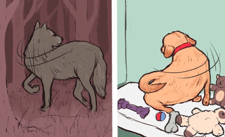 ef9dcd502c81ab5b6cfb1e2c21