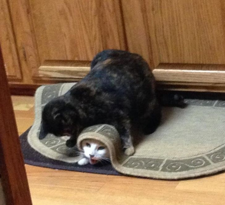 efa0c258d2b03f0767b3aec9dc