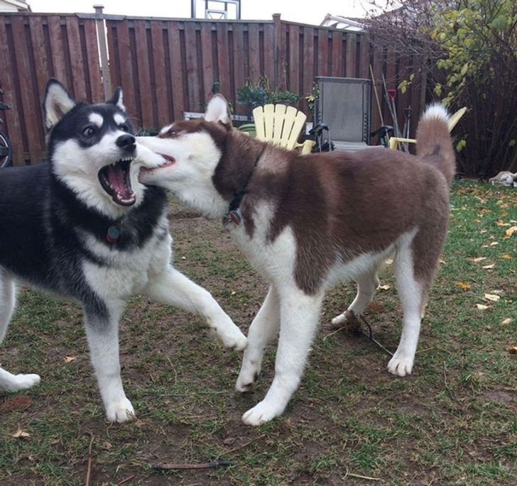 efa1c45a9aa9b26621e5e3a8b1