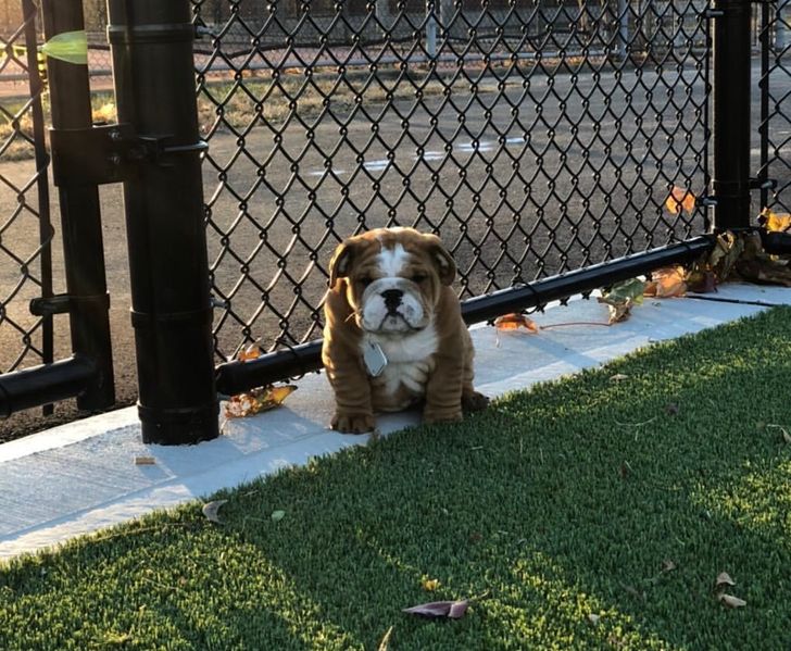 efa2025f739de1b35e11eeba4a