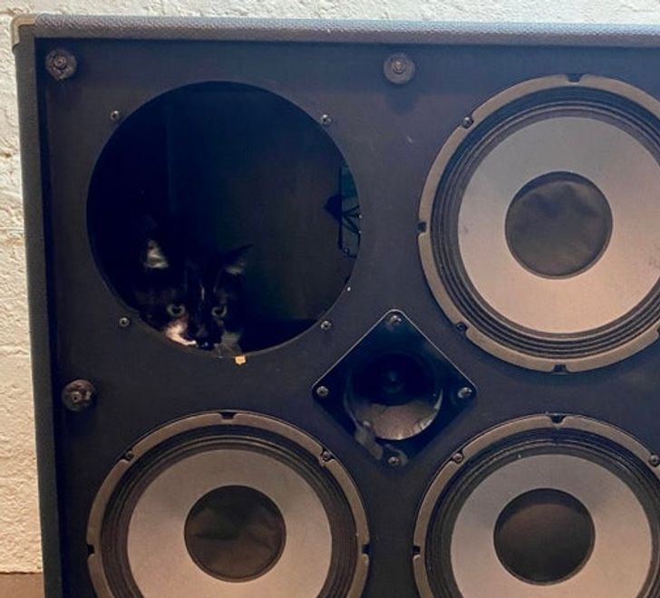 efb07554c2aae38ee8d7702996