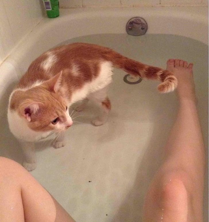 efb4005c49b6ac80782debeb71