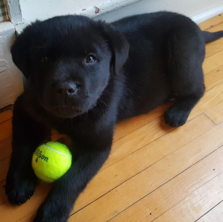 efb6d7539197346743e91d76b0