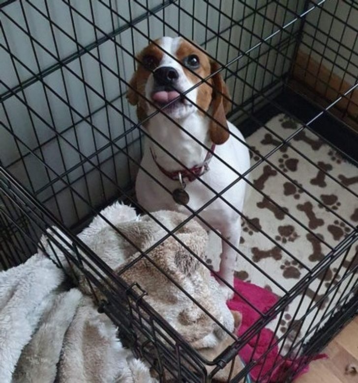 efb83459ce90652ef6878980ef efb83459ce90652ef6878980ef