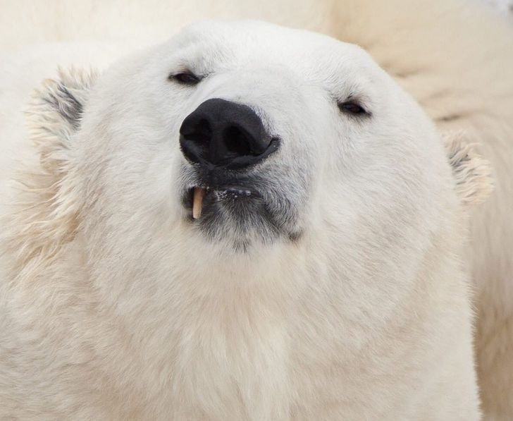 efb999536687f81176f3c34dfd