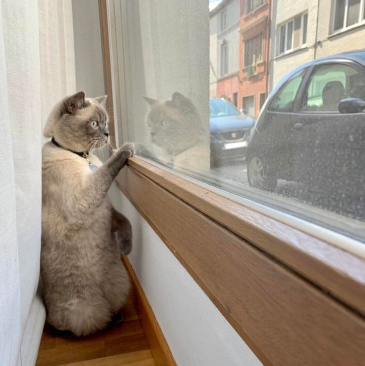 efba61556f86e388e57a89ec26