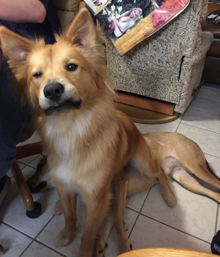 efd12d51fd97bff871d24d7958