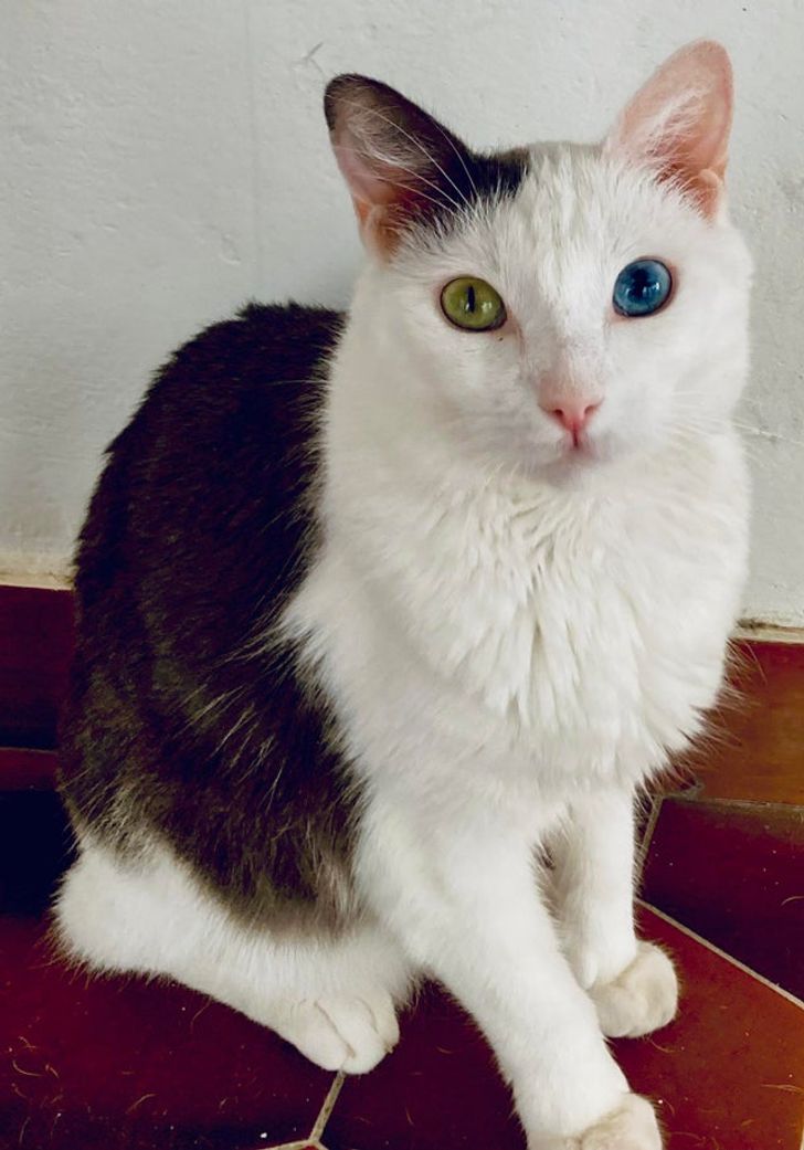 efd3bf543b876dba5be5a08462 efd3bf543b876dba5be5a08462