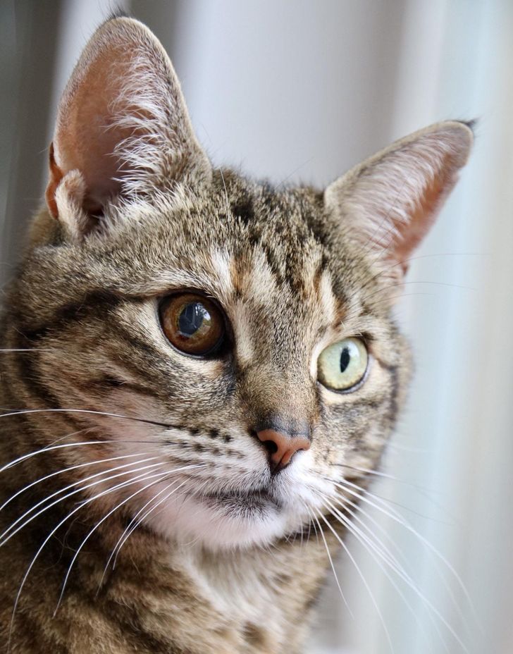 efd4955f57a23beb7133035b3f efd4955f57a23beb7133035b3f