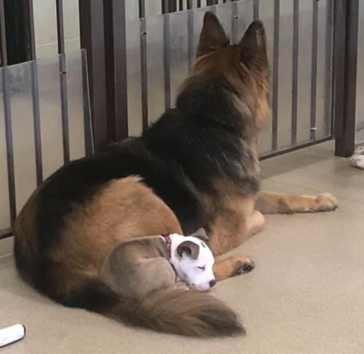 efd4fd5c6e98a330ed954f573e