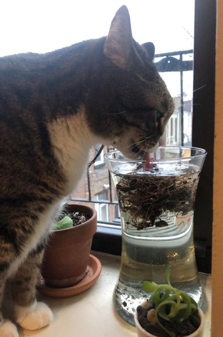 efd9da536f8488aee341c9bca7